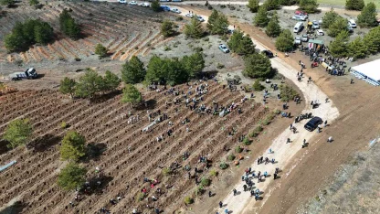 Kastamonu’da 210 bin fidan toprakla buluşturulacak