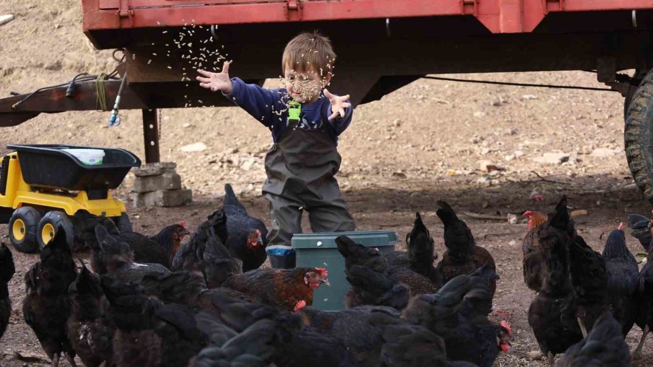 Kocaeli’de çiftçinin yüzünü güldüren destekler rakamlara yansıdı