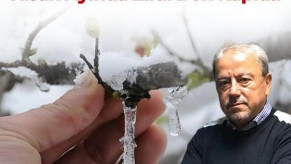 Meteoroloji Uzmanı Şen Uyardı: Nisan Ayında Zirai Don Kapıda