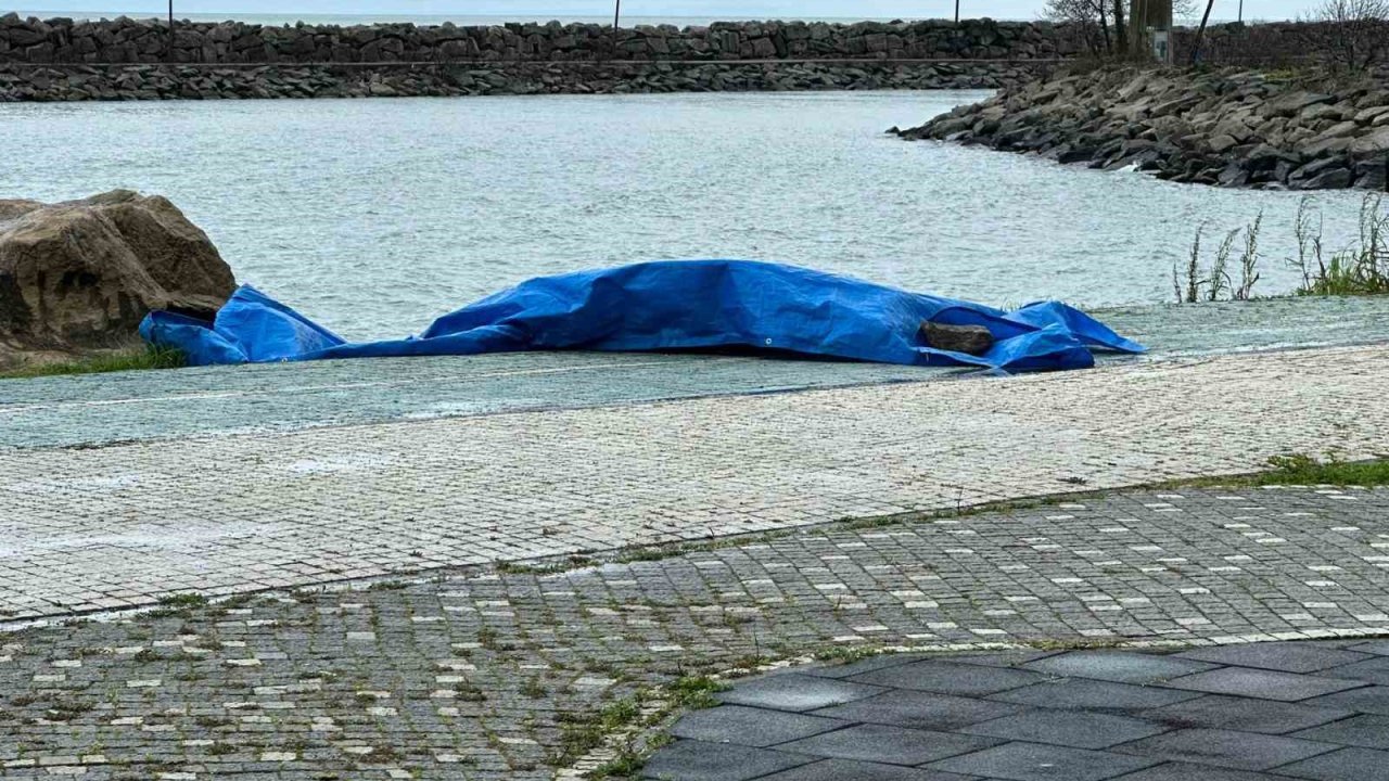 Ordu’da sahile insansız araç olduğu değerlendirilen cisim vurdu