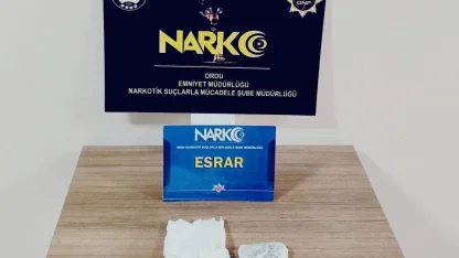 Ordu’da uyuşturucu operasyonunda 1 tutuklama