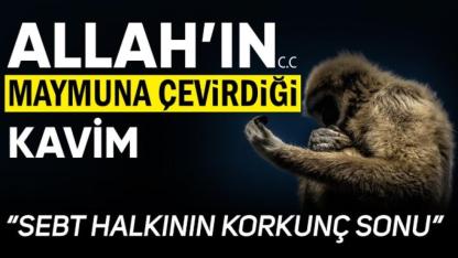 Hz. Davut Peygamber (as)