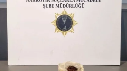 Samsun’da 3 ilçede narkotik operasyonu