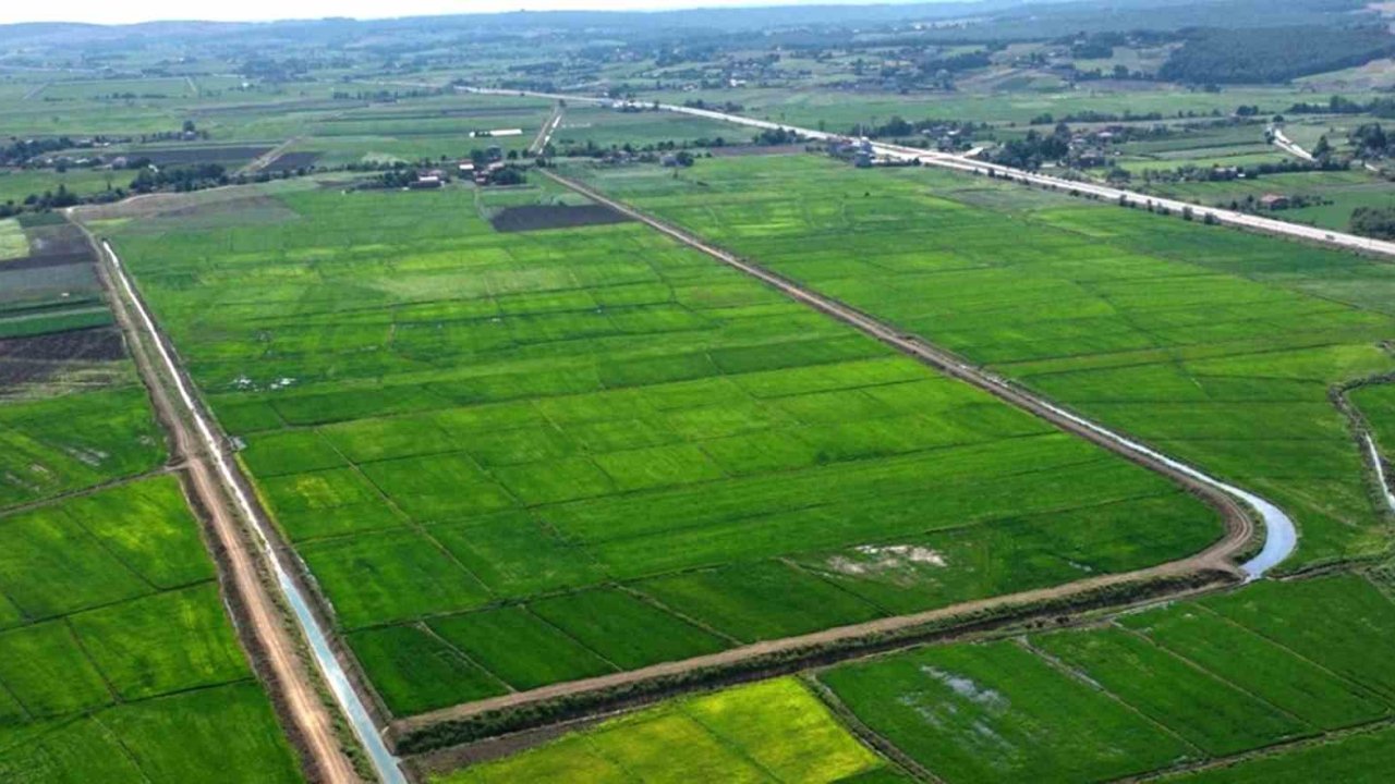 Samsun’da bozulan tarım arazileri cezasız kalmadı: 48 işlem uygulandı