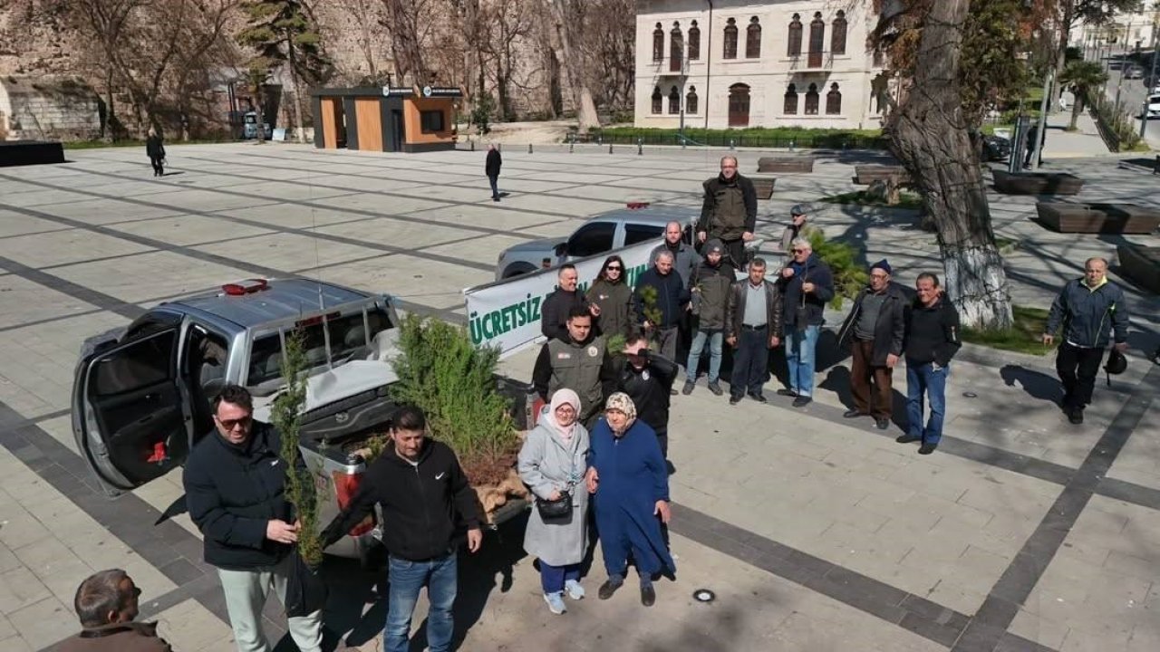 Sinop’ta binlerce fidan toprakla buluşuyor