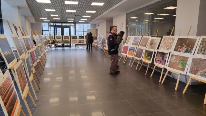 Sinop’ta "Tarım, Orman ve İnsan Sergisi" açıldı