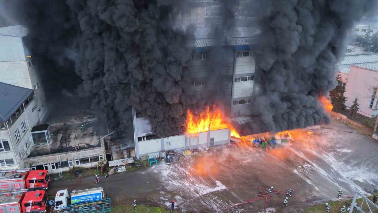 Trabzon’da fındık fabrikasında yangın