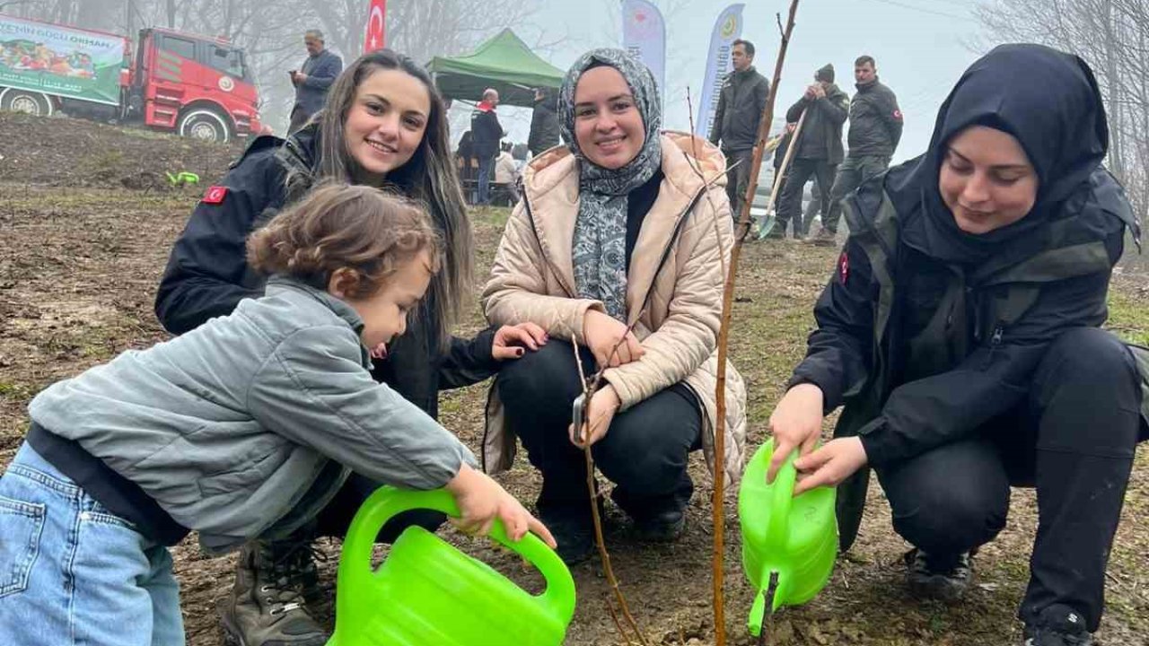 Türkeli’de yüzlerce fidan toprakla buluştu