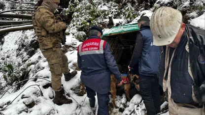 Zonguldak’ta ruhsatsız 10 maden ocağı kapatıldı