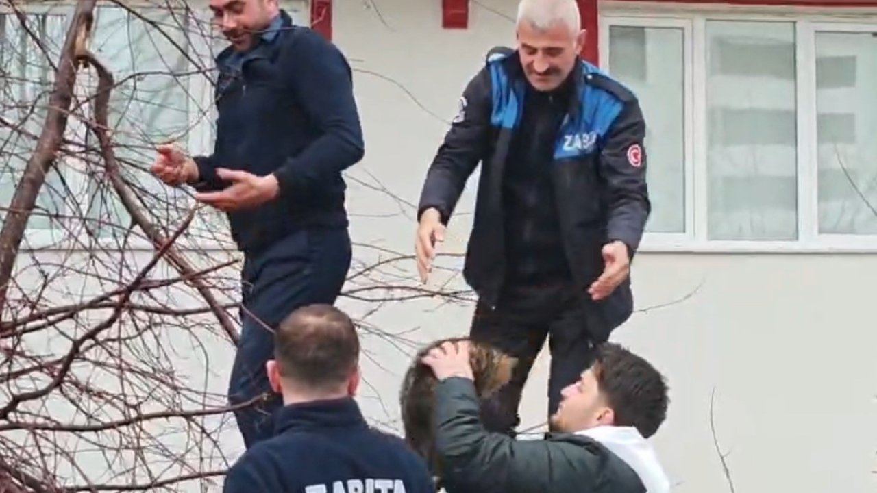 Ağaçta mahsur kalan kediye zabıtadan kurtarma operasyonu