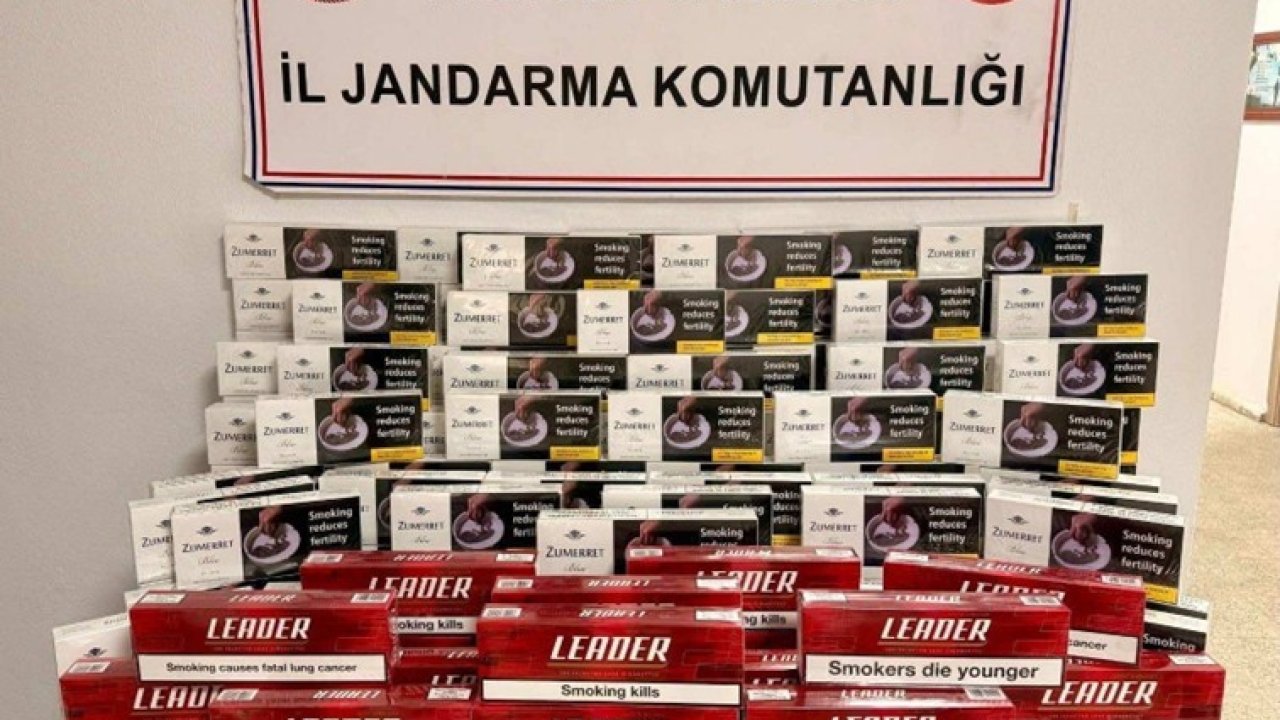 Artvin’de kaçakçılıkla mücadelede 9 bin 690 paket sigara ele geçirildi