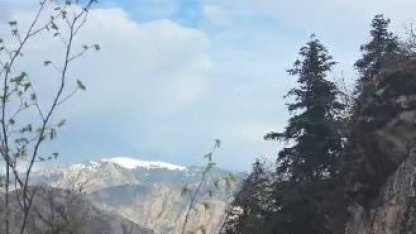 Artvin’de yaylada düşerek yaralanan vatandaş helikopterle kurtarıldı