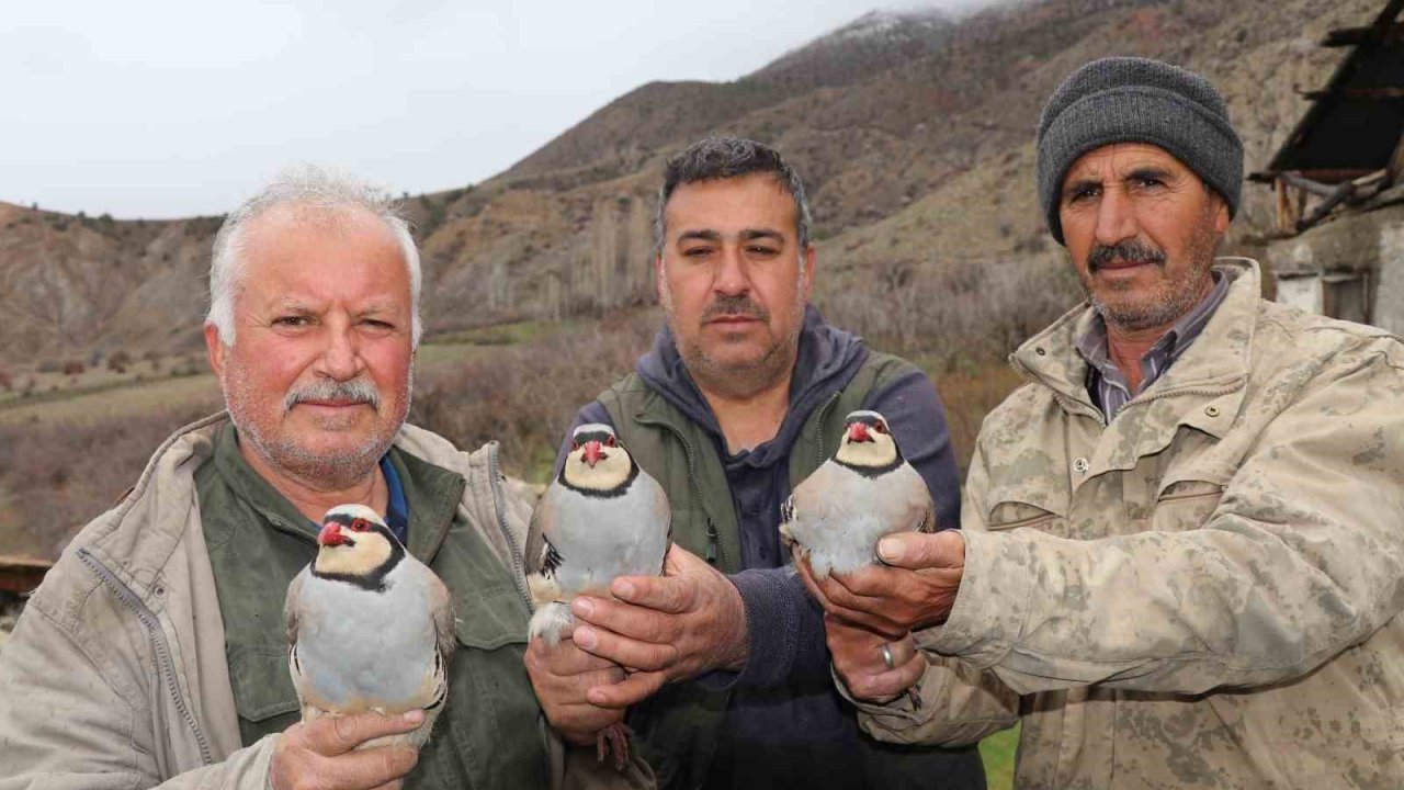 Atadan toruna kalan miras: "Baskın keklik" yöntemiyle dev envanter