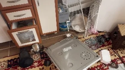 Ayılar Trabzon’da yaylalardan sonra mahallelere dadandı