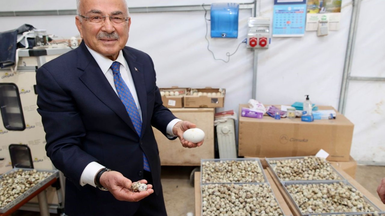 Başkan Güler: "Ordumuza yeni bir sektör hazırlıyoruz"