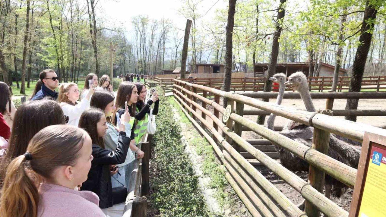 Batı Trakya’dan gelen 82 öğrenci Kocaeli’de ağırlandı