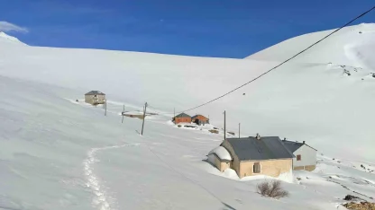 Bayburt’ta ayı saldırılarının yaşandığı yaylada ulaşım sorunu sürüyor