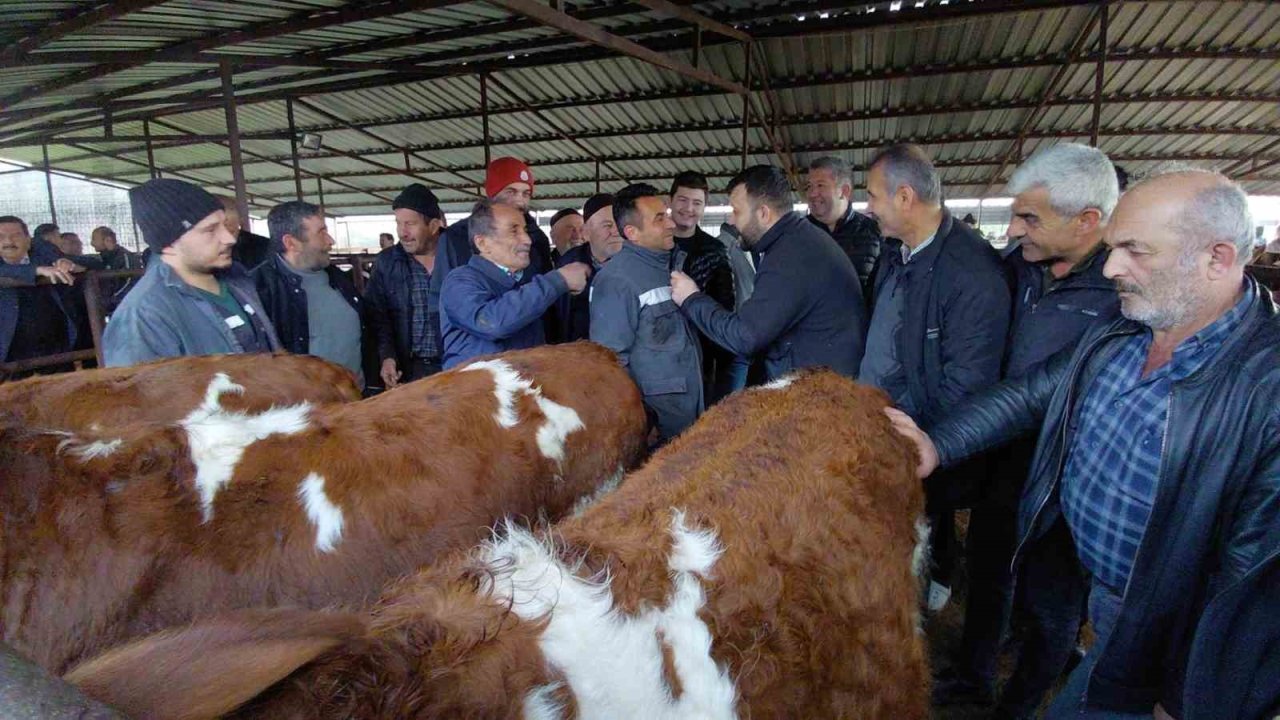 Bolu’da kurban pazarlarında hareketlilik başladı