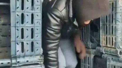 Düzce’de 7 düzensiz göçmen yakalandı