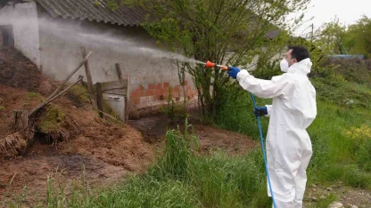 Düzce’de daha uçmadan bitirmek için mücadele başladı