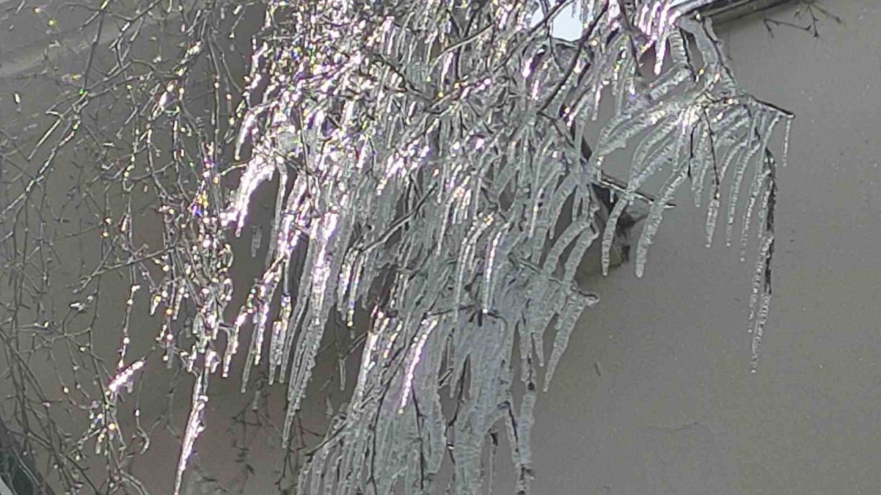 Hava sıcaklığı eksi 10’a düştü, ağaç dalları dondu