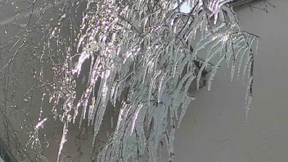 Hava sıcaklığı eksi 10’a düştü, ağaç dalları dondu