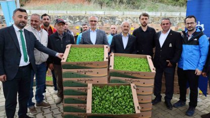 İşlenmeyen araziler üretime dönüyor: Çiftçilere yüzde 75 hibeli fide desteği