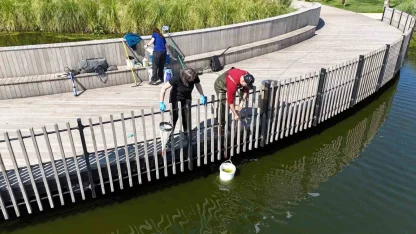İzmit Millet Bahçesi göletinde bilimsel iyileştirme çalışması başladı