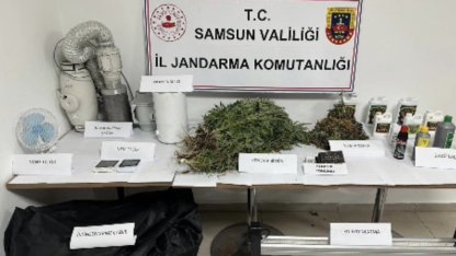 Jandarmadan evde kenevir operasyonu