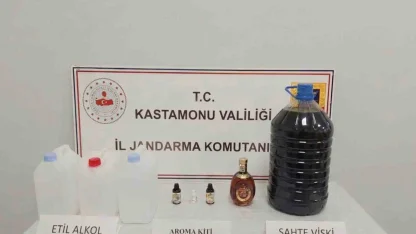 Kastamonu’da kaçakçılık operasyonu: 1 gözaltı