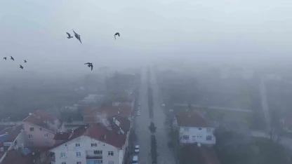 Kastamonu’da yoğun sis