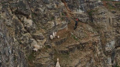 Kayalıklardaki sürüye cansiparane kurtarma