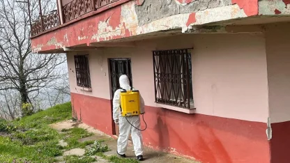 Kaynaşlı ve Yığılca’da Kahverengi Kokarcayla mücadele sürüyor