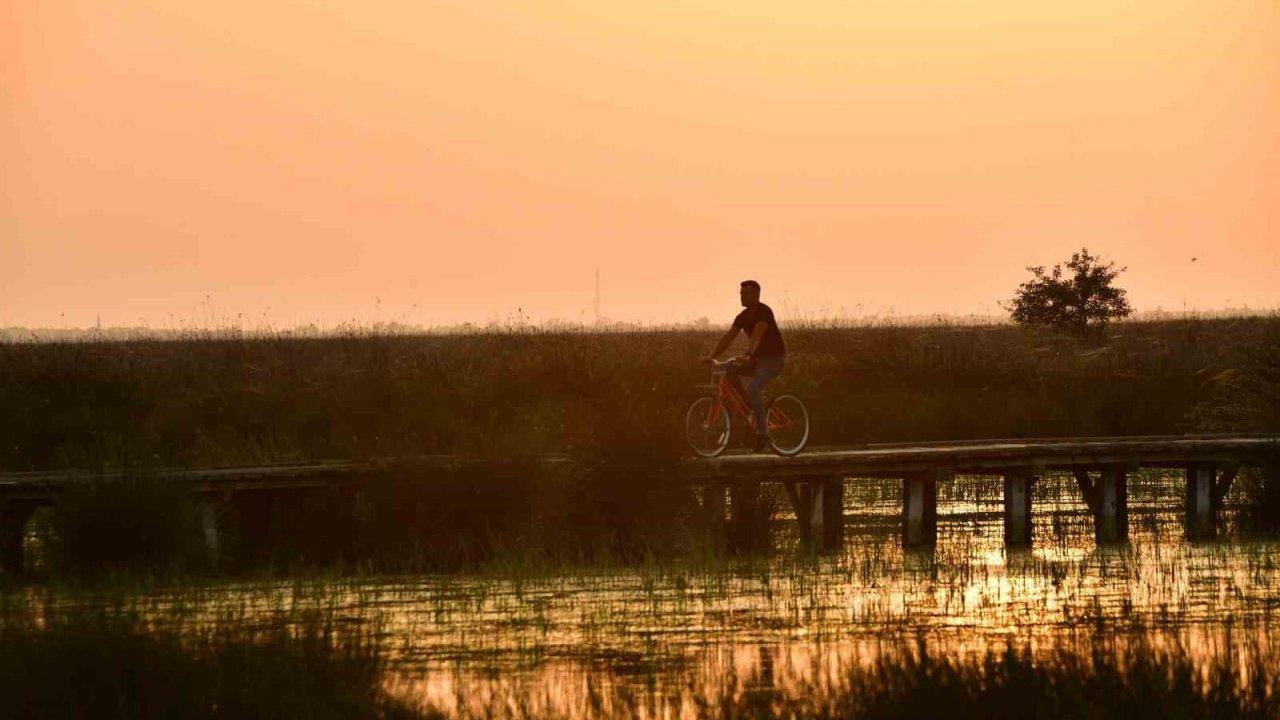 Kızılırmak Deltası Kuş Cenneti’nde bahar coşkusu