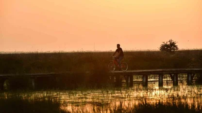 Kızılırmak Deltası Kuş Cenneti’nde bahar coşkusu