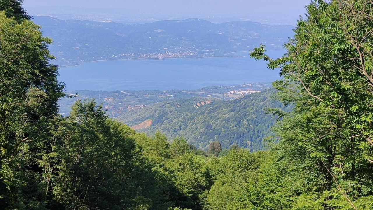 KONTROLLU TARIM ŞARTTIR