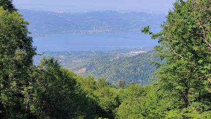 KONTROLLU TARIM ŞARTTIR