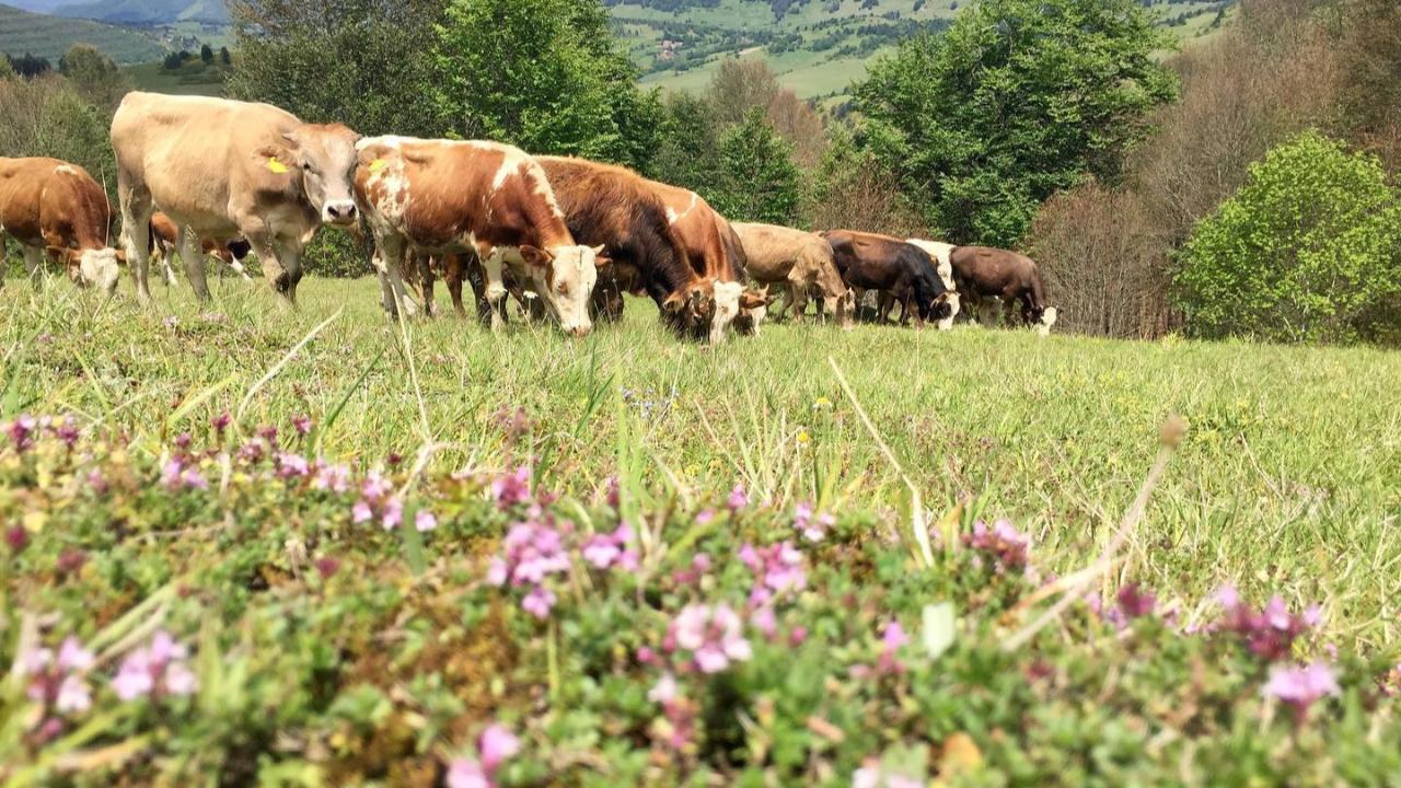 KÖYDEN KENTE GÖÇÜN NEDENLERİ;