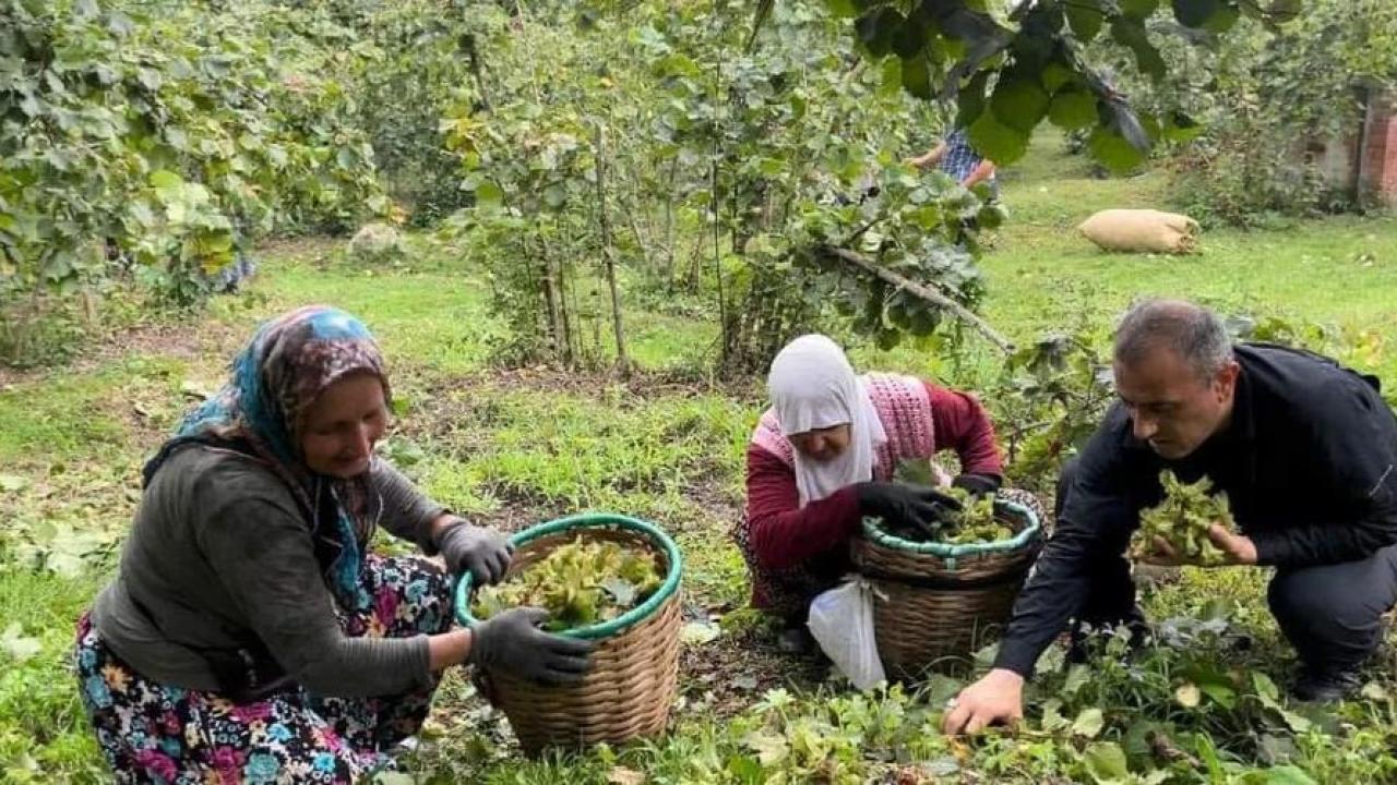 KÖYDEN KENTE GÖÇÜN NEDENLERİ;