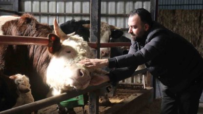 Kurbanlık alışverişinde erken alım hareketliliği