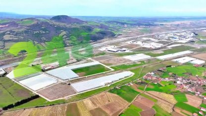 Modern tarımın yeni adresi Bafra: Karadeniz’de başarı hikayesi yazılıyor