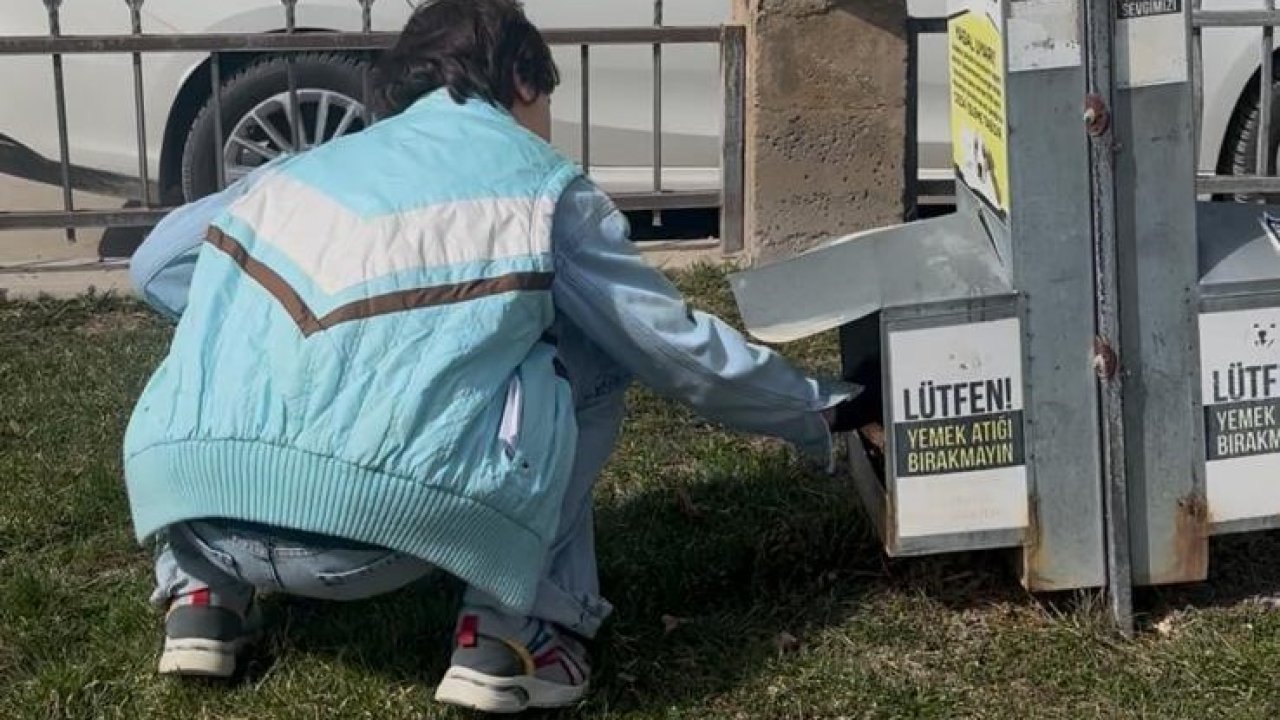 Özel öğrencilerden sokak hayvanlarına mama desteği