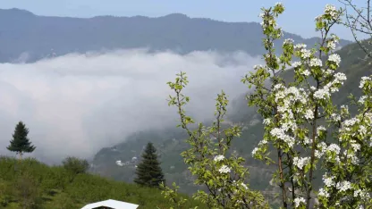 Sakarya’nın yüksek kesimlerinde bahar güzelliği