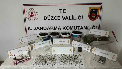 Saksıda kenevir yetiştiren şahıs gözaltına alındı
