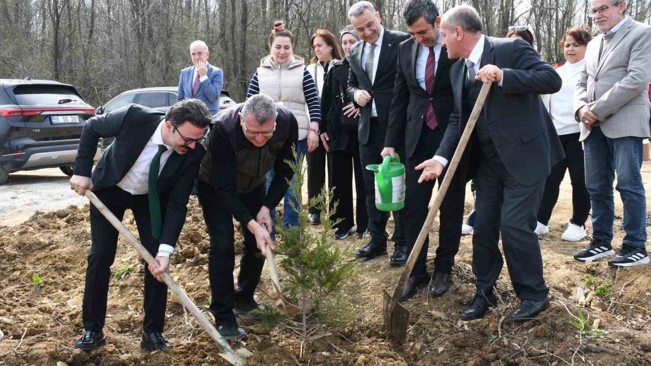 Samsun’da ormanlar ağaçlandırılıyor