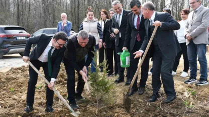 Samsun’da ormanlar ağaçlandırılıyor