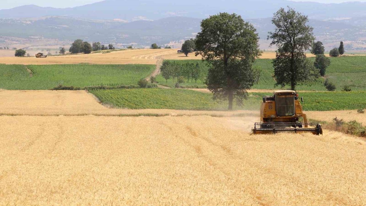 Samsun’da tarım, hayvancılık ve kırsal kalkınmaya 3 milyar TL üzerinde destek