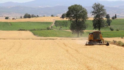 Samsun’da tarım, hayvancılık ve kırsal kalkınmaya 3 milyar TL üzerinde destek