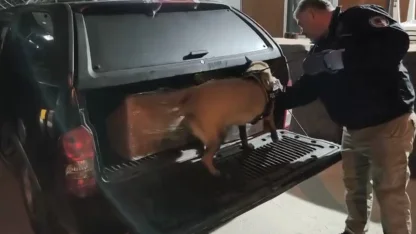 Samsun’da uyuşturucu operasyonunda 165 bin hap ele geçirildi