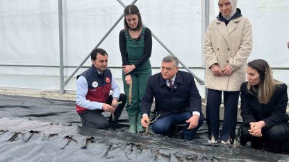 Sinop’ta IPARD desteğiyle kurulan serada ilk gül fidanları toprakla buluştu